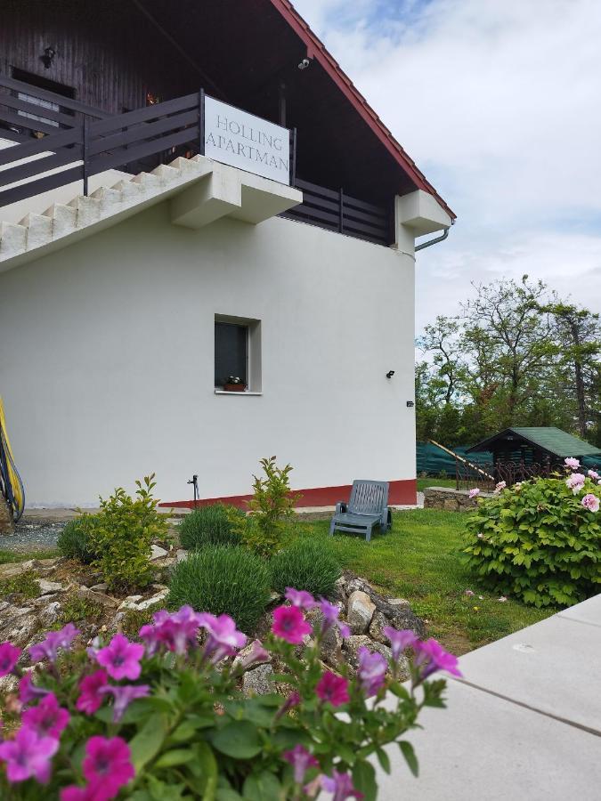 Holling Apartman Fertőboz 外观 照片