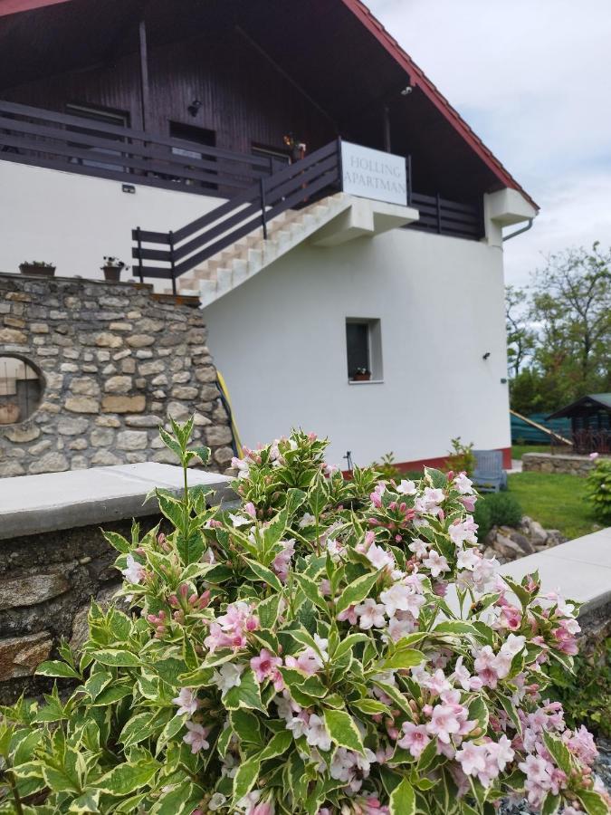 Holling Apartman Fertőboz 外观 照片